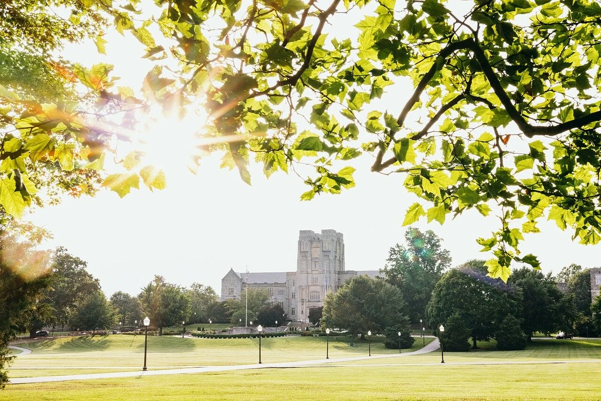 Burruss Hall viewed framed by leaves from across the Drillfield on a sunny summer day