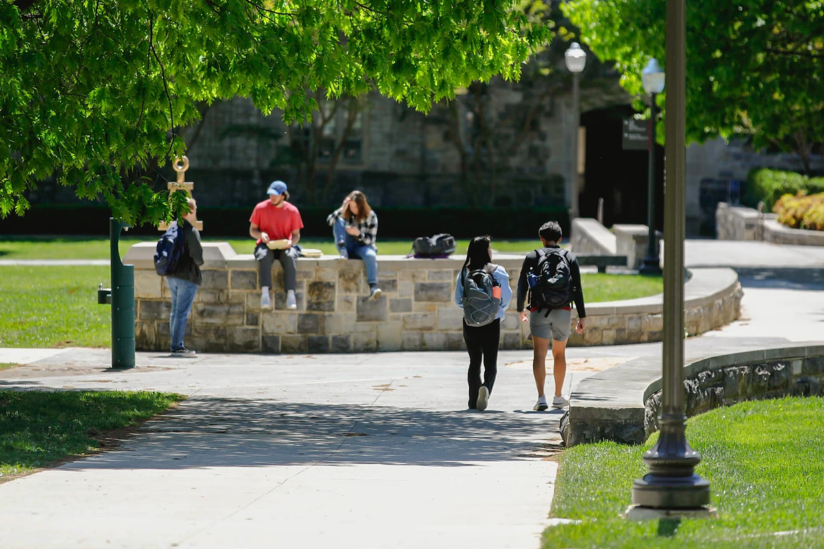 Students are walking and sitting in a tree-shaded university courtyard.